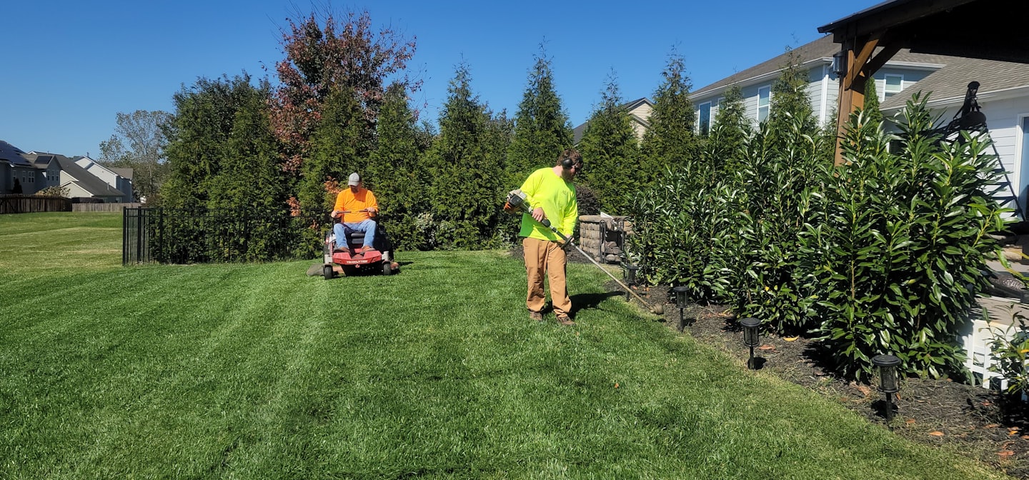 Vibrant weed free grass lawn