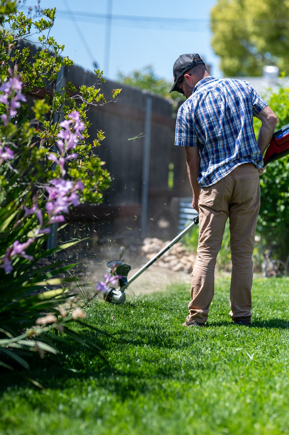 Mower stripe patterns in backyard grass